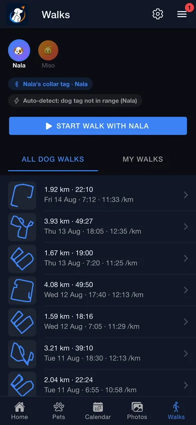 The walks list, each row with a route thumbnail, distance, time and pace